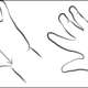 SELECTION Childrens Wrist